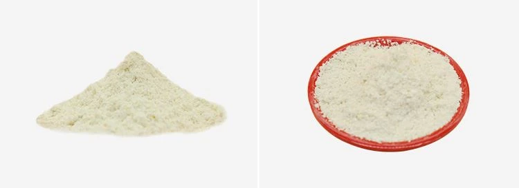 Gamma Oryzanol Powder 2 Gamma Oryzanol Powder 2