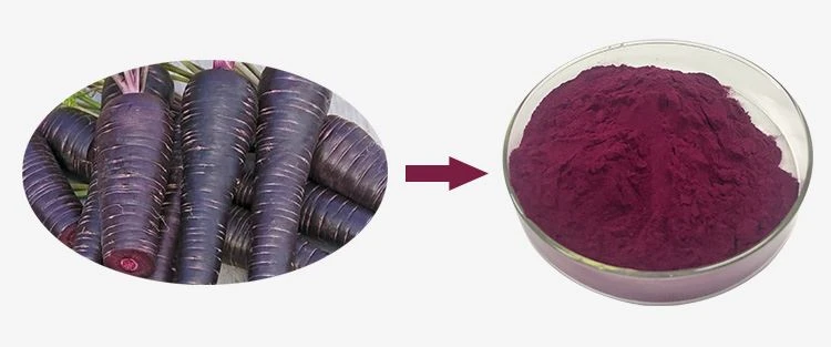Black Carrot Juice Powder 1