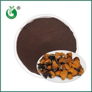 Cov teebmeem ntawm Chaga Extract.