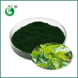 Sodium Copper Chlorophyllin yog dab tsi? Nws siv rau dab tsi?