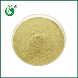 Puas yog Vitamin K2 thiab MK7 tib yam?