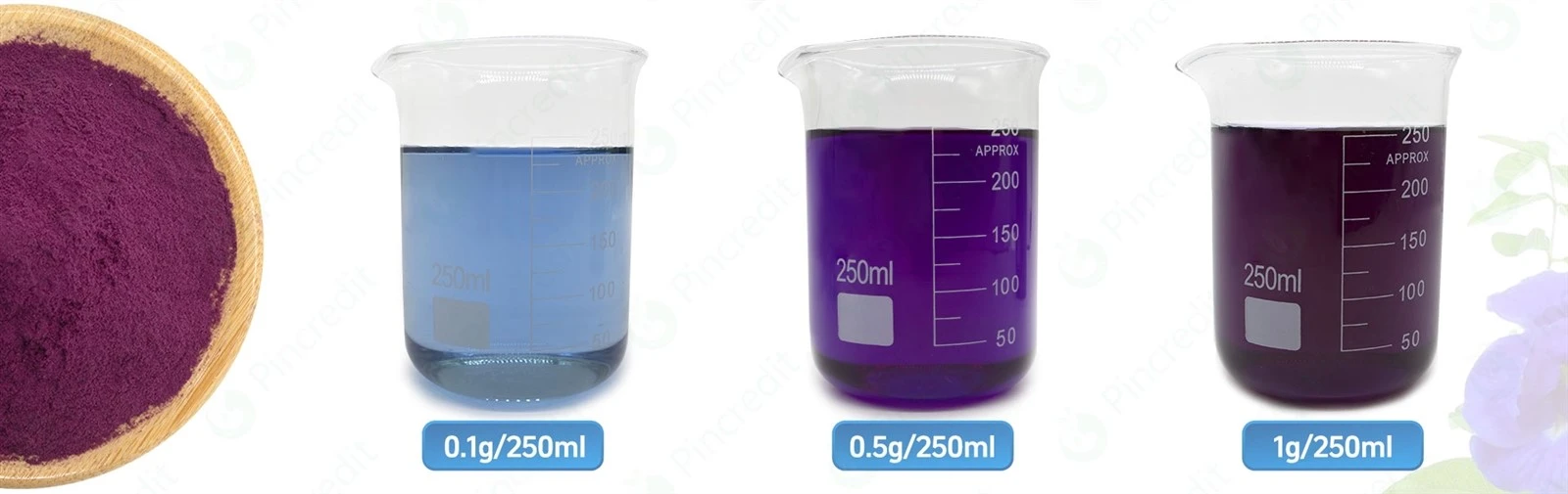 Butterfly Pea Flower Extract 2 Butterfly Pea Flower Extract 2