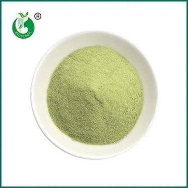 TSHIAB RAU: Matcha Latte Powder