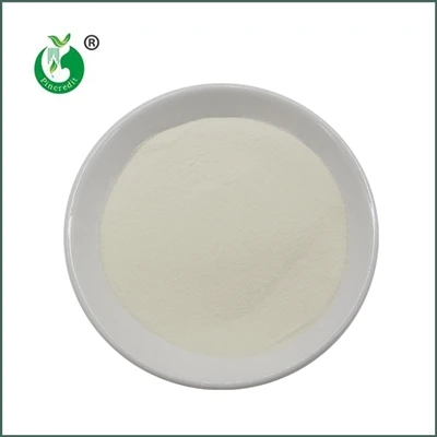 Hydrolyzed Collagen yog dab tsi?