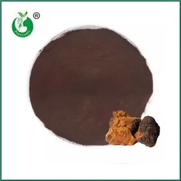 Cov txiaj ntsig thiab kev siv ntawm Chaga Extract Powder