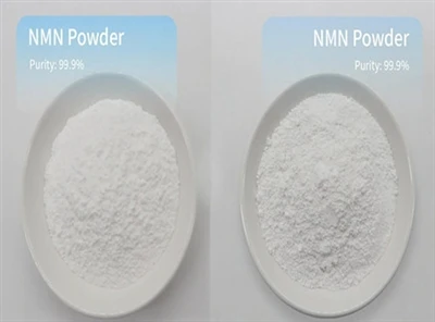 Puas muaj NMN Powder raug txwv?
