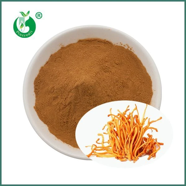 Cordyceps Militaris Extract Hmoov