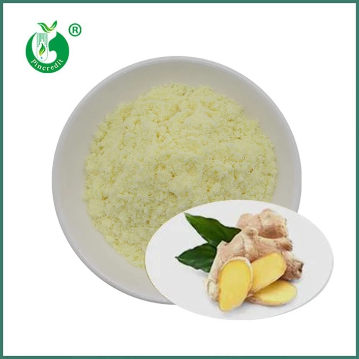 Gingerol hmoov