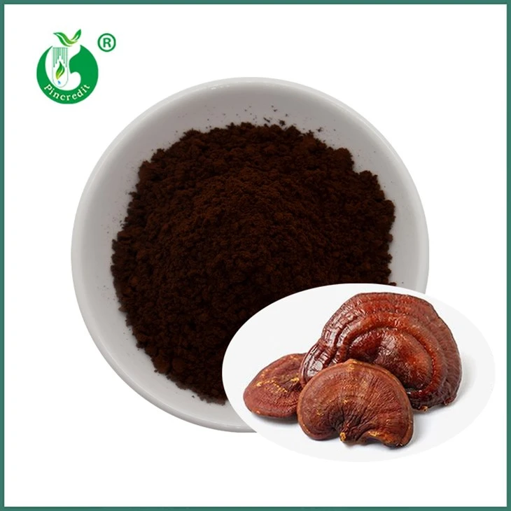 Reishi Spore Hmoov