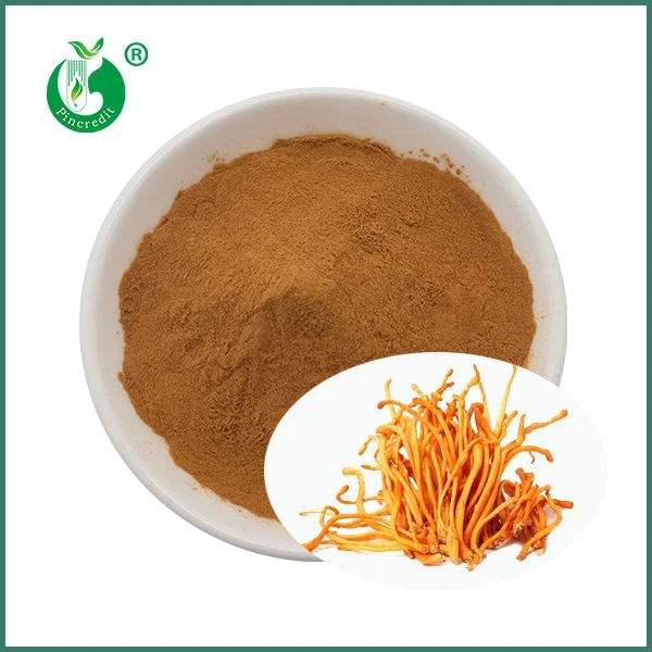 Organic Cordyceps Mushroom Militaris Extract