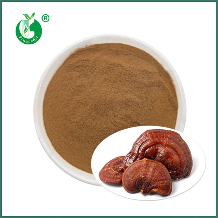 Reishi Extract Hmoov