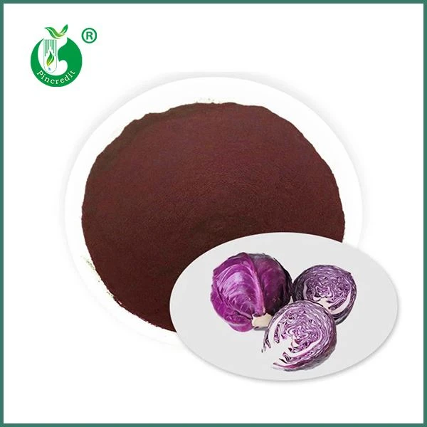 Red Cabbage Kua Txiv Hmab Txiv Ntoo